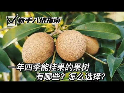 北部適合種什麼水果|北部適合種什麼水果？25種水果種植指南，新手也能輕。